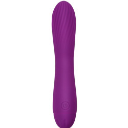 Generique Vibro Torti 17 x 3.3cm Violet